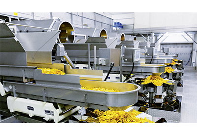 Greater Efficiency for the Tortilla Chip Production Line