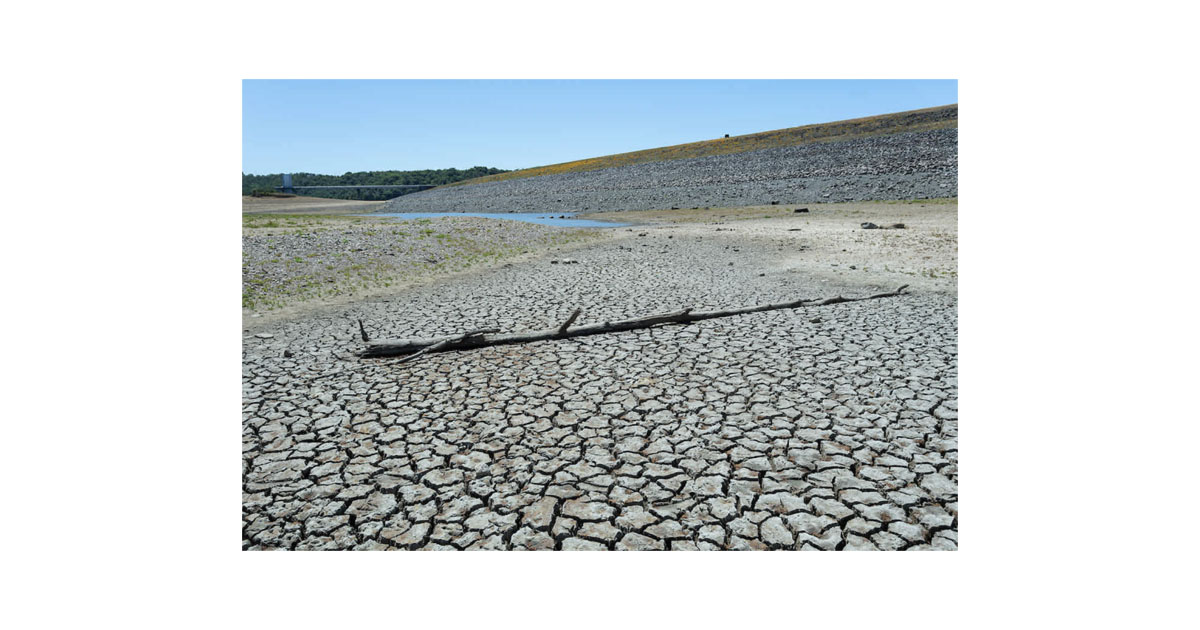 Thirsty Servers: The Water Crisis Sparked by Data Center Cooling Thirsty Servers: The Water Crisis Sparked by Data Center Cooling